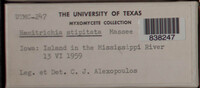 Image Associated With the Occurence